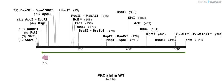 27027_map
