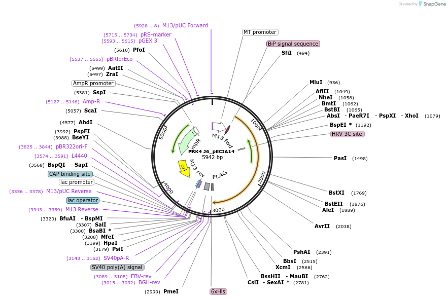 270289_map