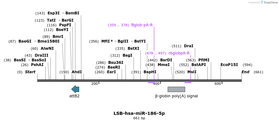 270307_map