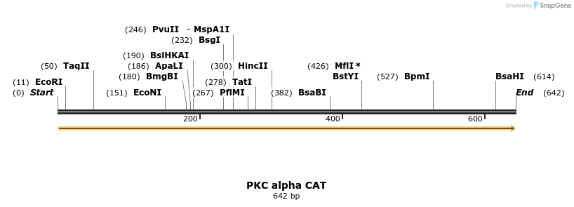27031_map