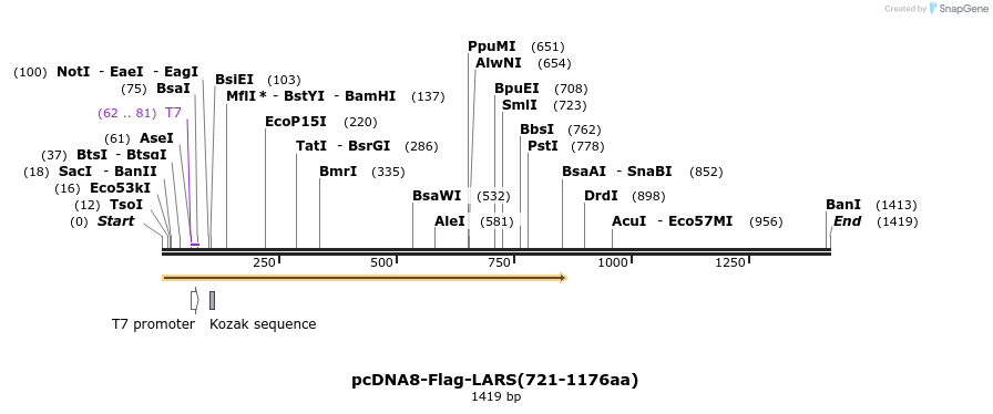 270342_map
