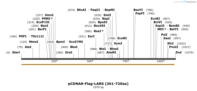 270347_map