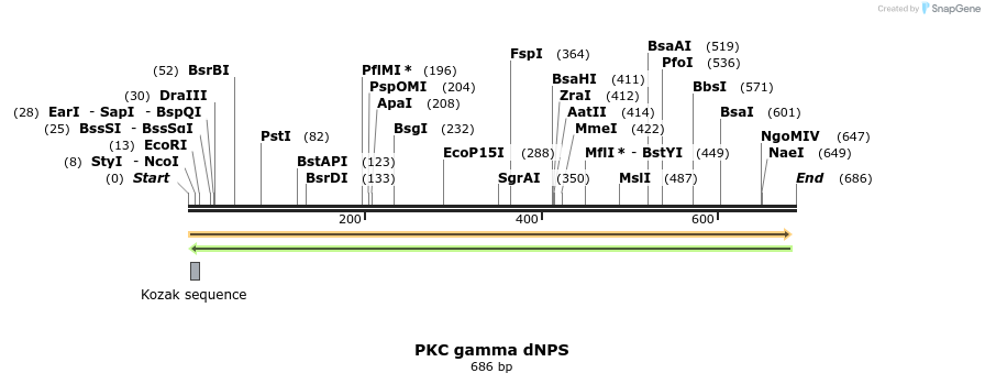 27036_map