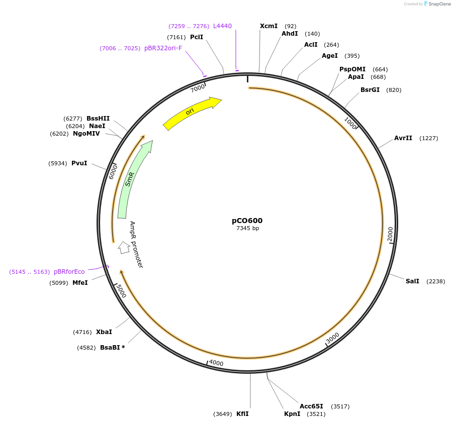 270392_map