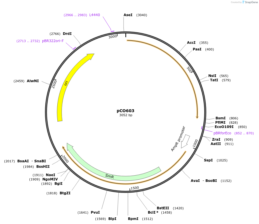 270394_map