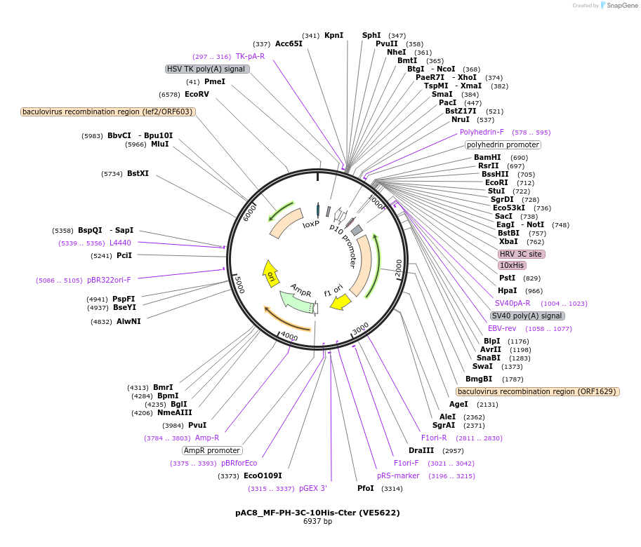 270511_map