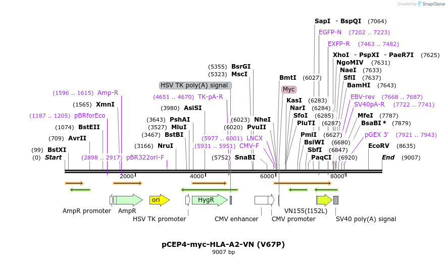 270552_map