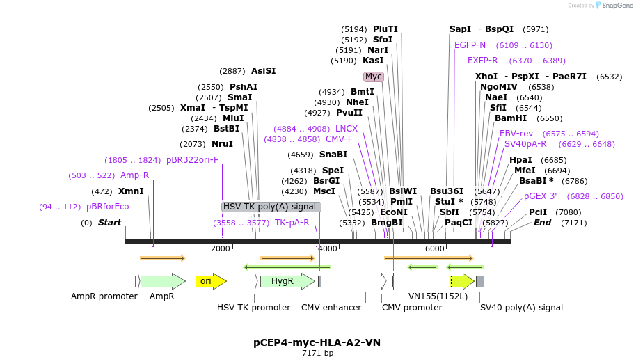 270553_map