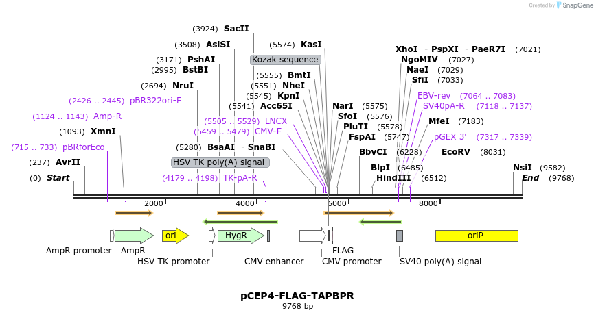 270556_map