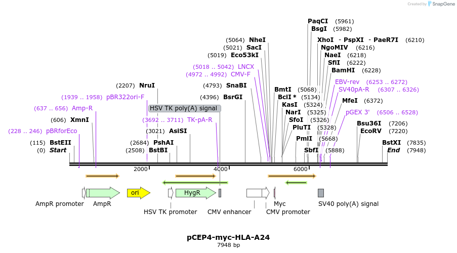 270561_map