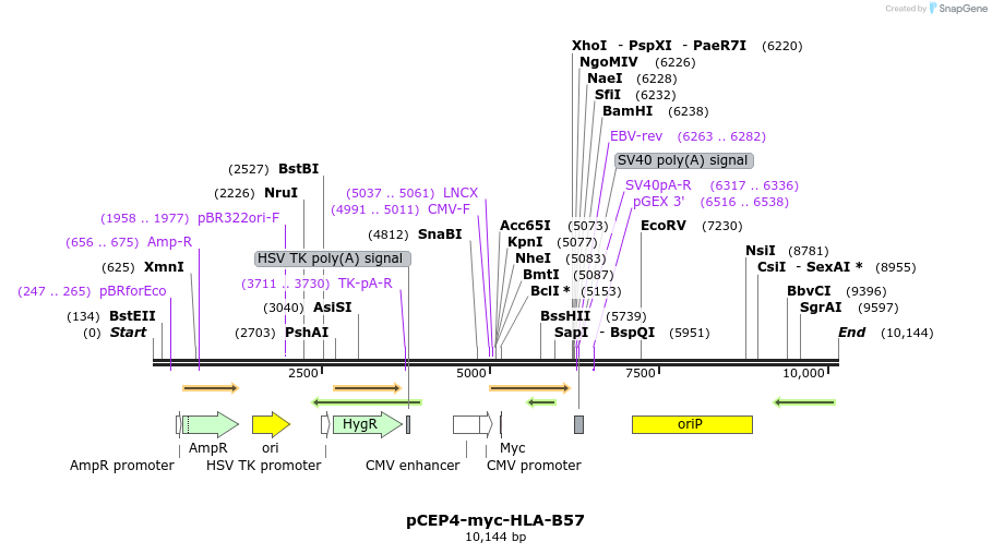 270564_map
