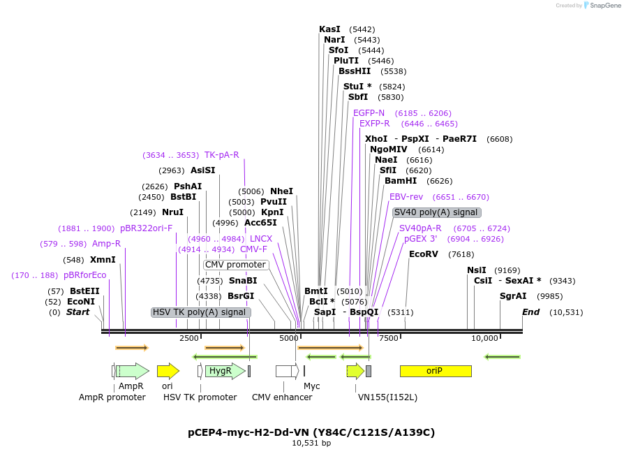 270573_map