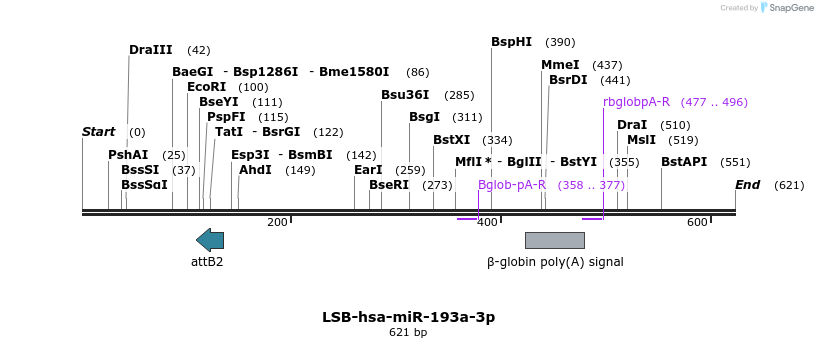 270575_map
