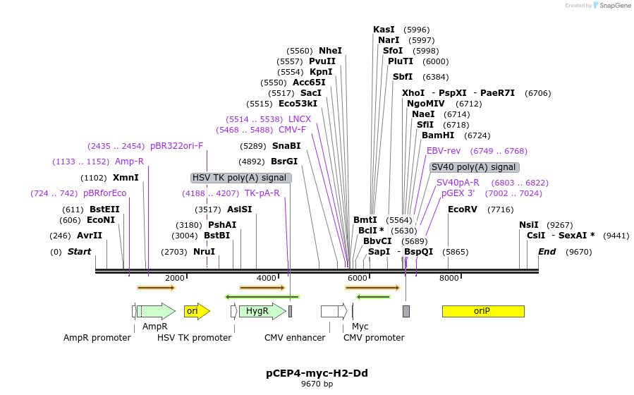 270591_map
