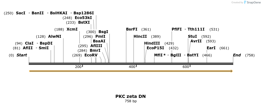 27060_map
