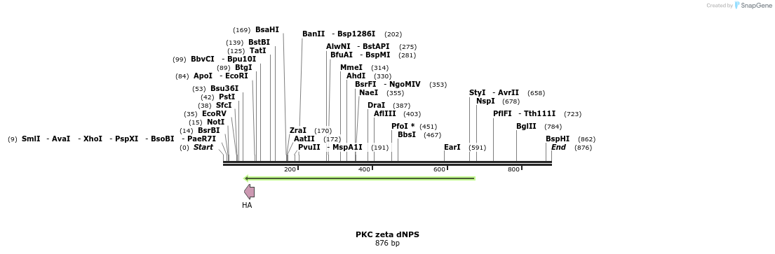 27062_map