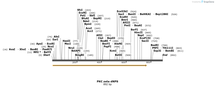 27063_map