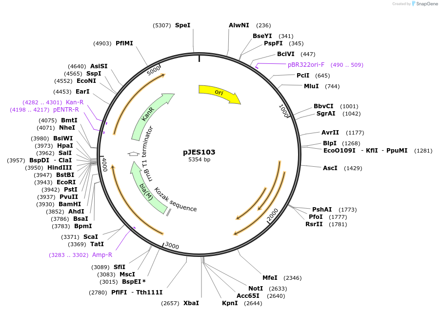 270631_map