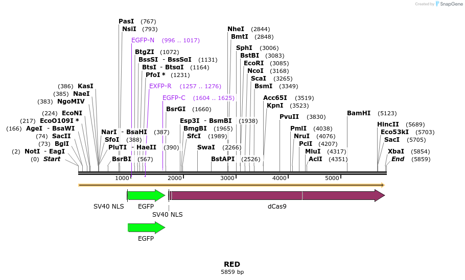 270632_map
