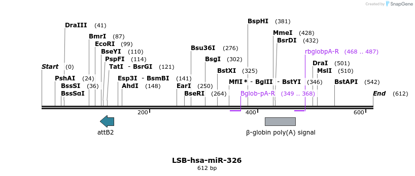 270638_map