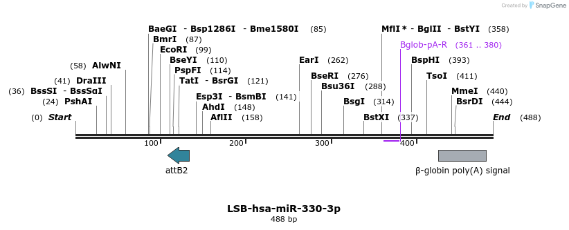 270642_map