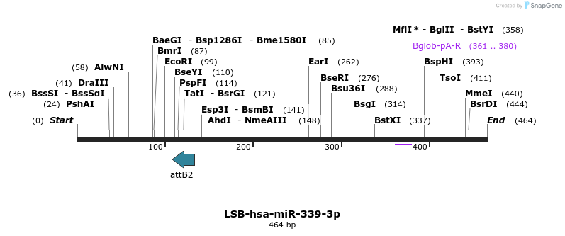 270652_map