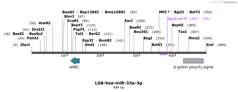 270656_map