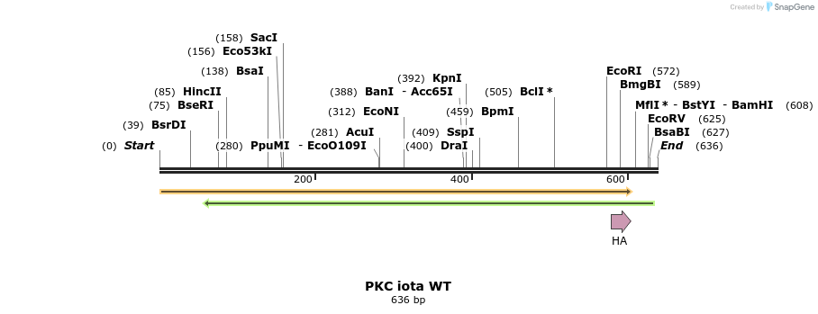 27066_map