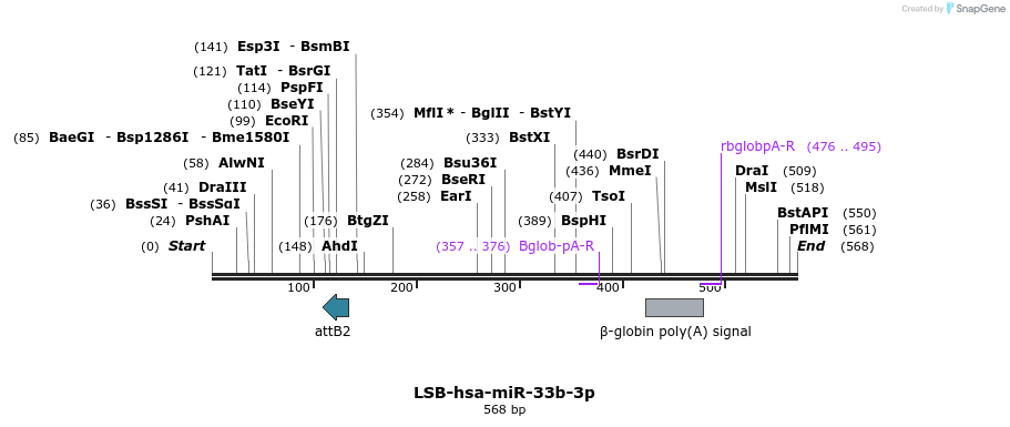 270706_map