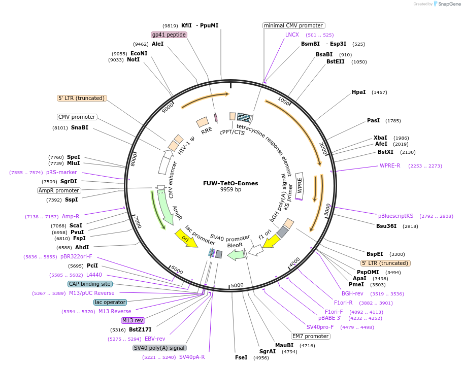 270713_map