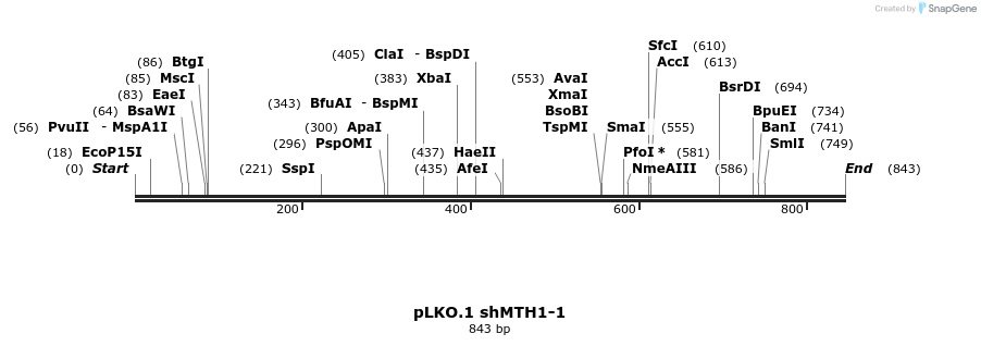 27075_map