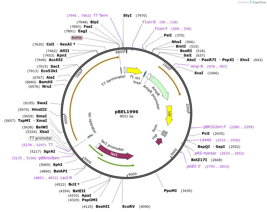 270776_map