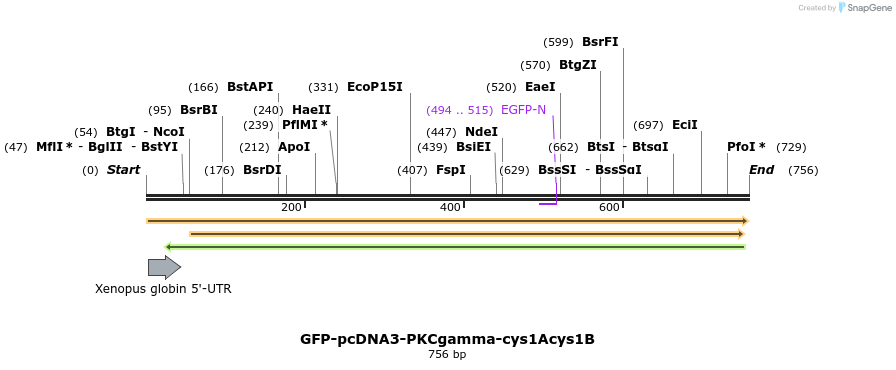 27079_map