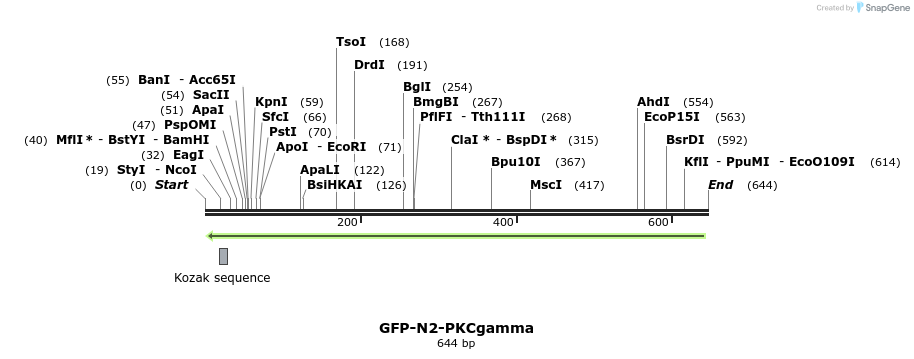 27080_map