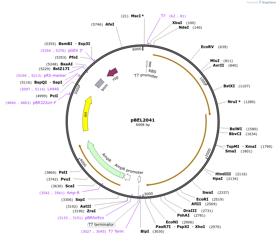 270802_map