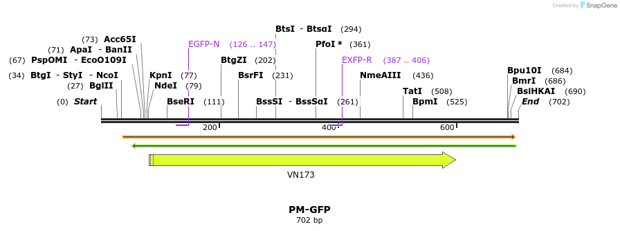 27082_map