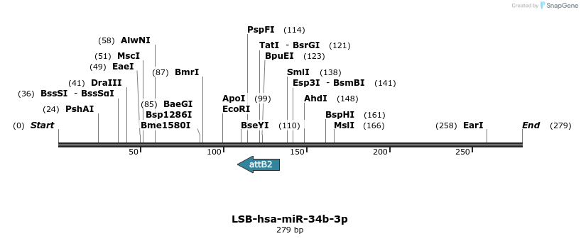 270878_map