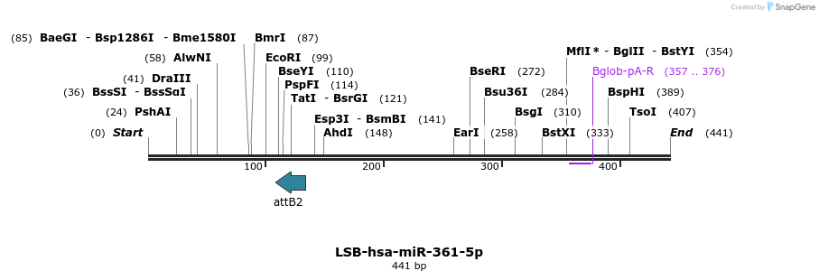 270892_map