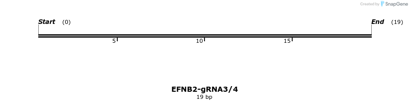 270942_map