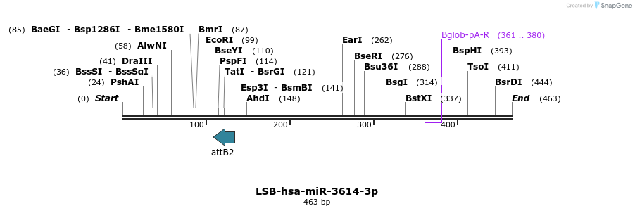 270950_map