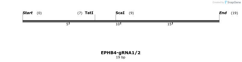 270954_map