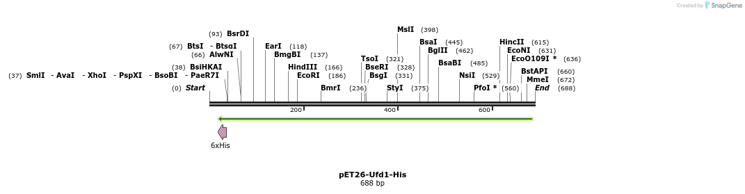 27098_map
