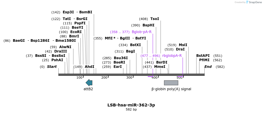 270981_map