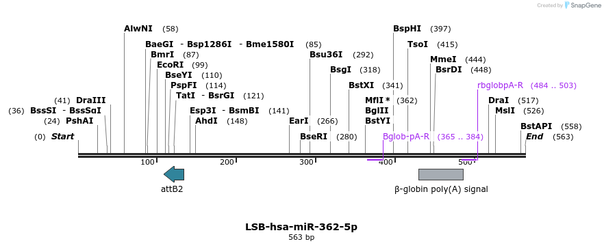 270982_map