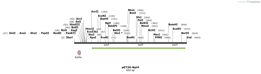 27099_map