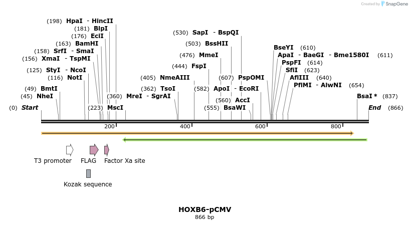 27101_map