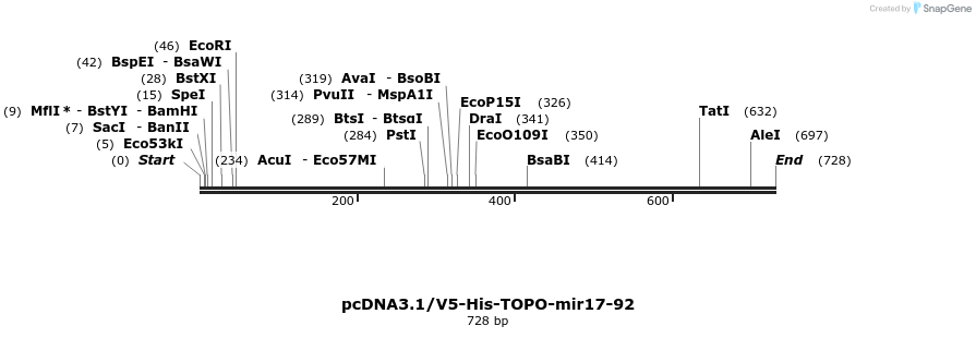 27102_map