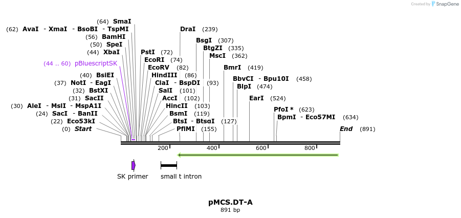 27104_map