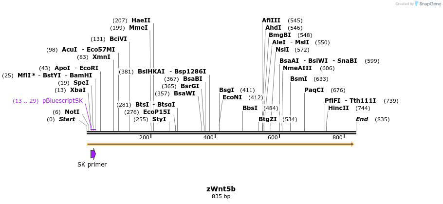 27107_map