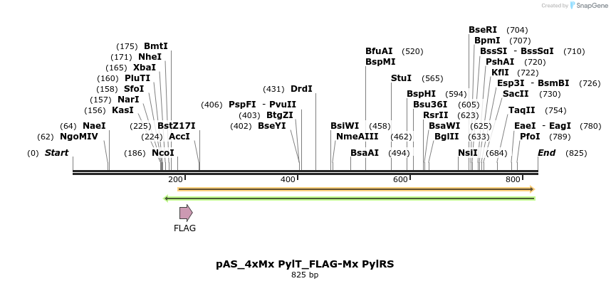 271070_map